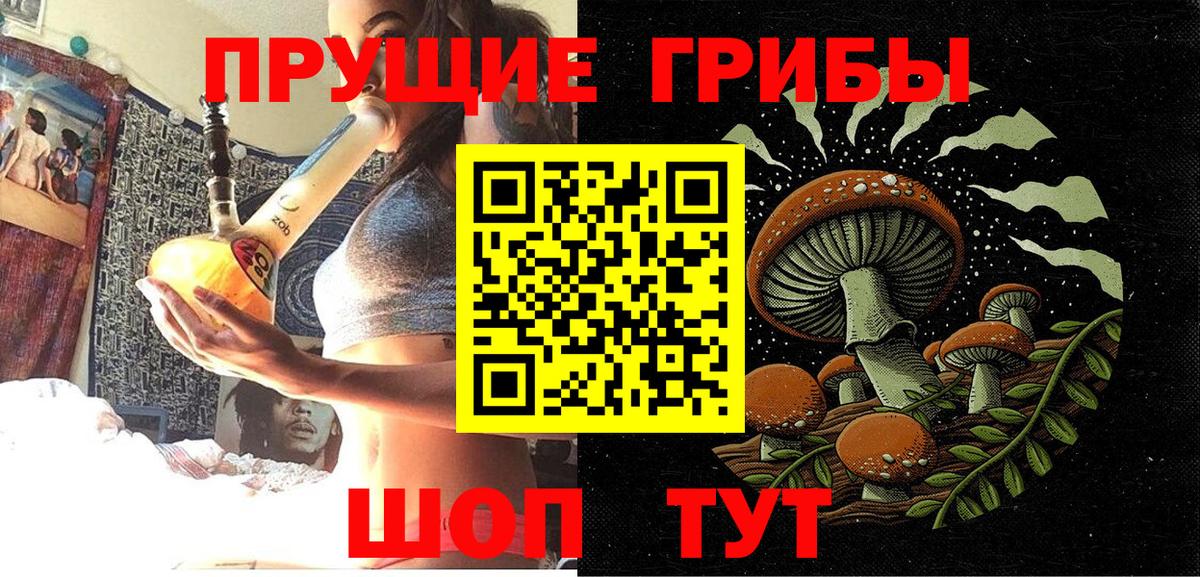 Галлюциногенные грибы прущие грибы Костомукша